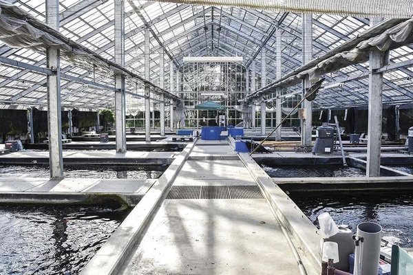 Cơ sở vật chất tại trại cá Dainichi Koi Farm