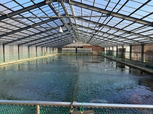 Cơ sở vật chất tại trại cá Momotaro Koi Farm