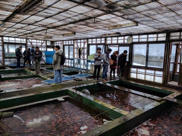 Cơ sở vật chất tại Otsuka Koi Farm