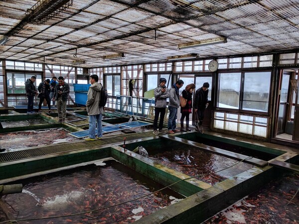 Cơ sở vật chất tại trại cá Oyaji Koi Farm