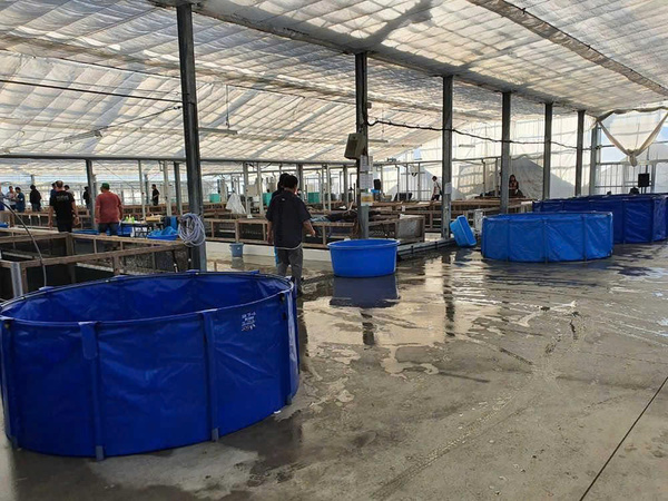 Một trong những yếu tố giúp Sakai Fish Farm duy trì chất lượng hàng đầu chính là hệ thống cơ sở vật chất hiện đại.