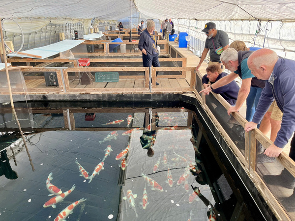 Cơ sở vật chất tại trại cá Tamaura Fish Farm