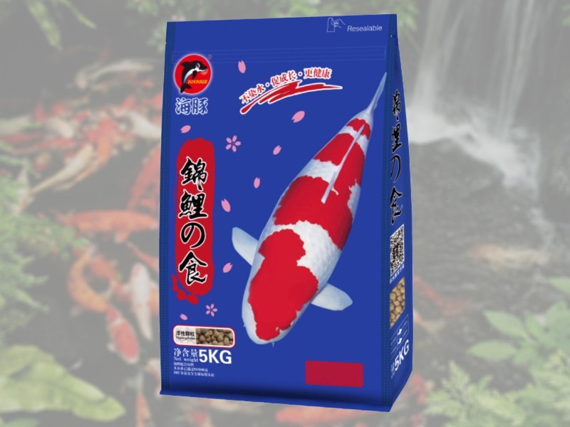 Cám cá Koi Porpoise lựa chọn phổ biến từ Trung Quốc