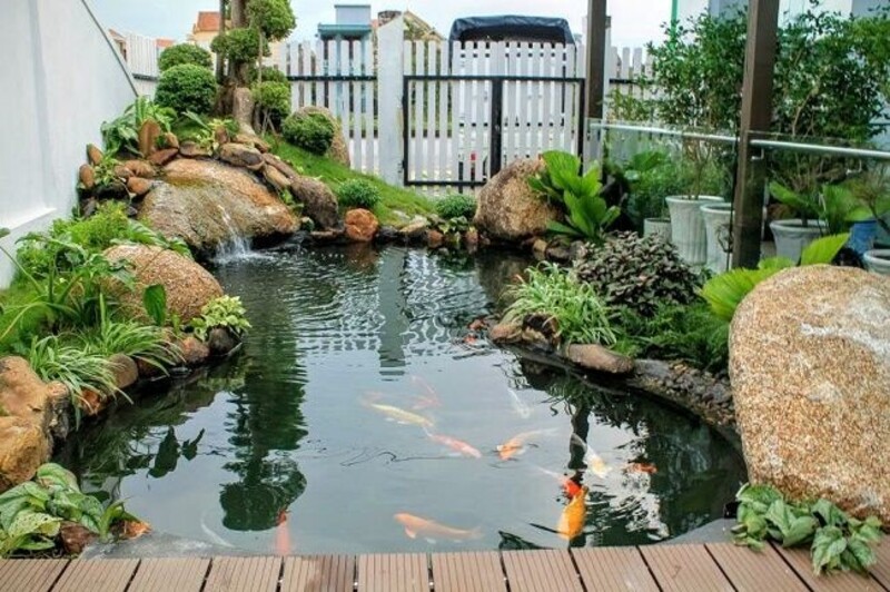 Ý nghĩa phong thủy mang lại tài lộc khi nuôi cá koi Karashi Ý nghĩa phong thủy mang lại tài lộc khi nuôi cá koi Karashi