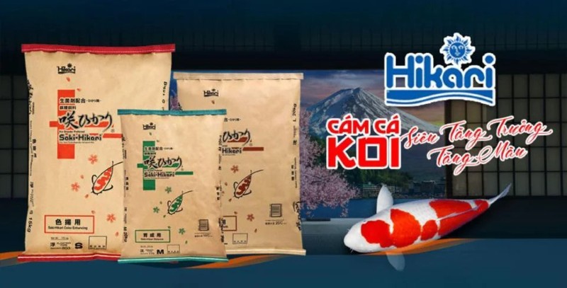 Thức ăn cá Koi Hikari chính hãng tại cakoi.info Thức ăn cá Koi Hikari chính hãng tại cakoi.info