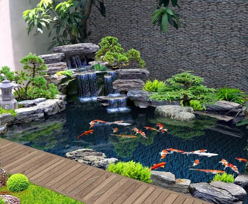 Ý nghĩa phong thủy mang lại may mắn khi nuôi cá koi Showa