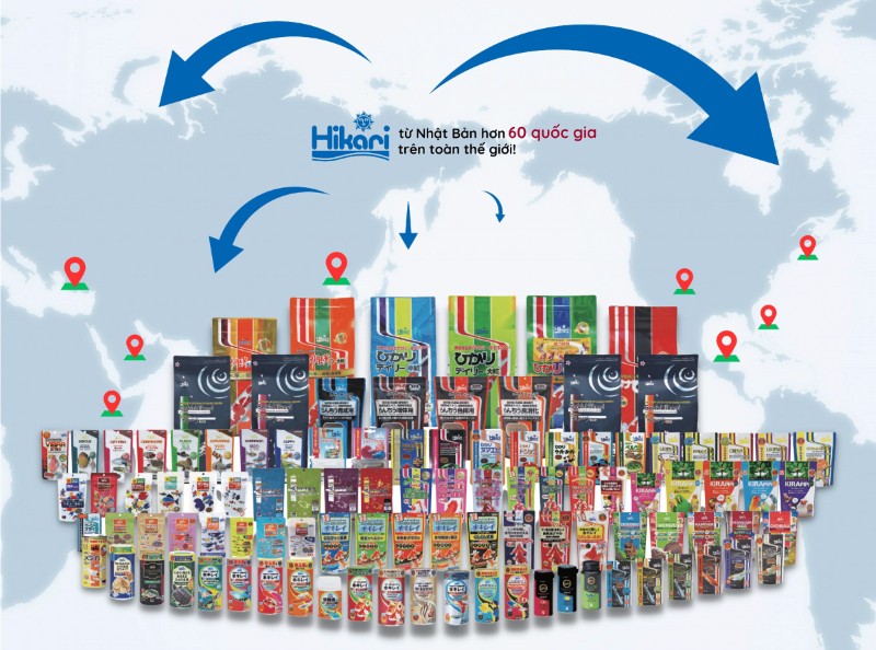 Hikari thức ăn cá Koi chính hãng được nhập trực tiếp từ Nhật Bản Hikari thức ăn cá Koi chính hãng được nhập trực tiếp từ Nhật Bản