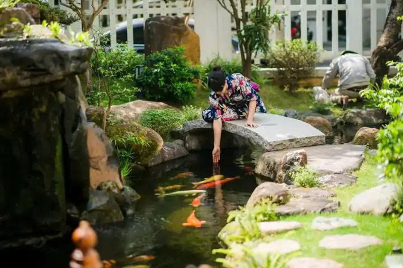 Cách tính số lượng cá koi mang lại may mắn theo Cửu tinh Cách tính số lượng cá koi mang lại may mắn theo Cửu tinh