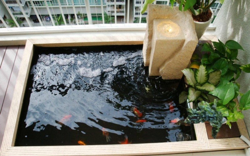 Hồ nuôi cá koi mini tại nhà Hồ nuôi cá koi mini tại nhà