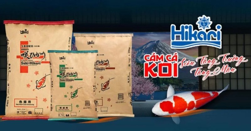 Thức ăn Hikari cho cá koi mini Thức ăn Hikari cho cá koi mini