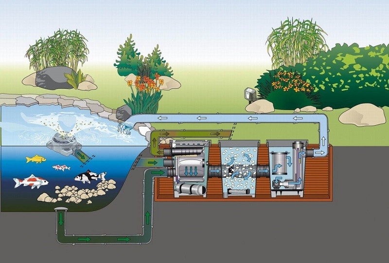 Sơ đồ hệ thống lọc nước hồ cá koi 