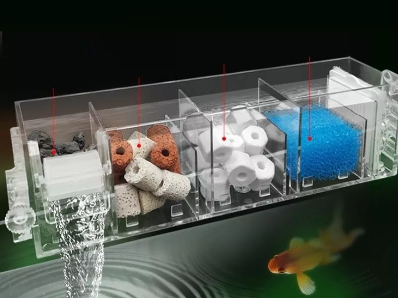 Hệ thống lọc nước cho bể cá koi