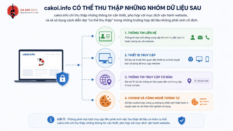 Các nhóm thông tin cá nhân website có thể thu thập