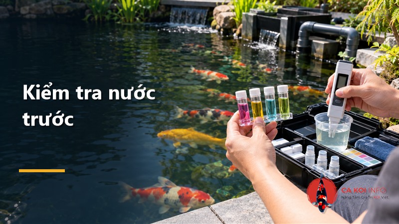 Người nuôi kiểm tra mẫu nước và thông số hồ cá Koi